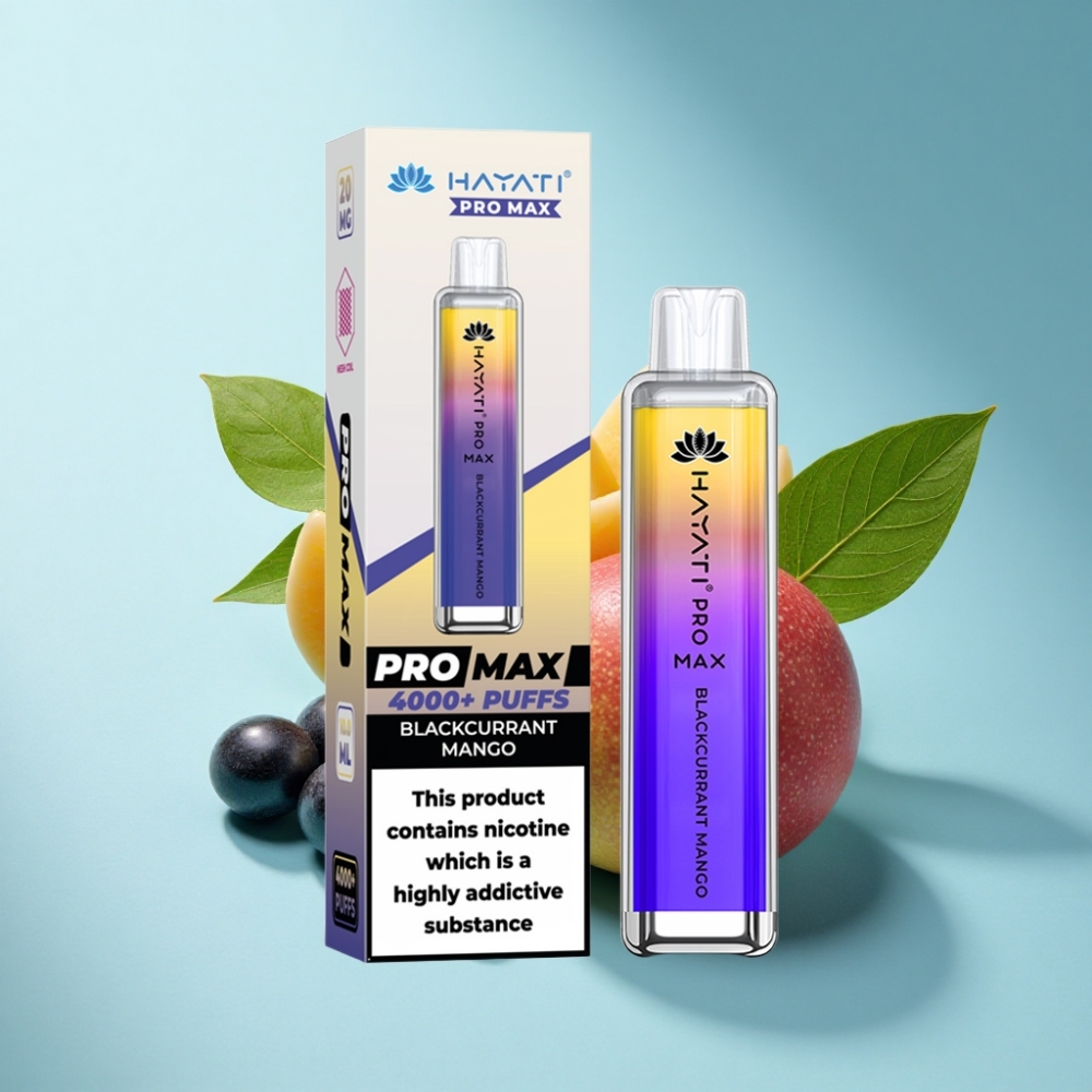 Hayati Pro Max 4000 Puffs Rechargeable Disposable Vape Blackcurrant Mango
