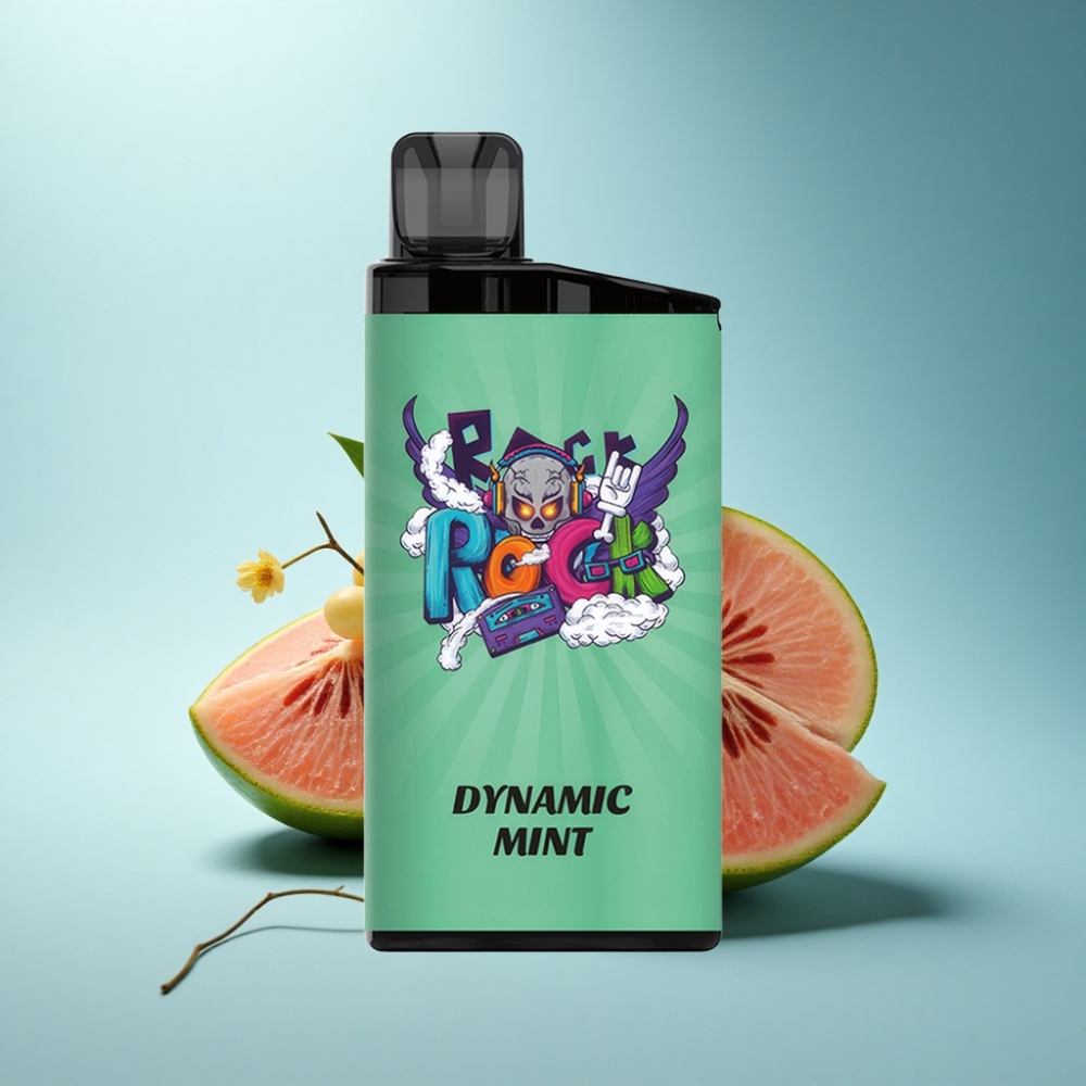 IGET Bar 3500 Puffs 1400mAh Mesh Coil Disposable Vape Dynamic Munt