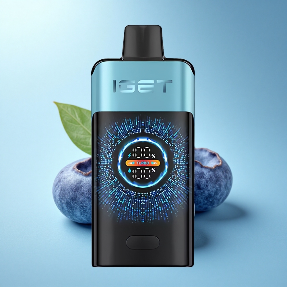 IGET ONE 12000 Puffs Disposable Vape Blueberry Ice with 2700mAh & Dual Mesh Coil