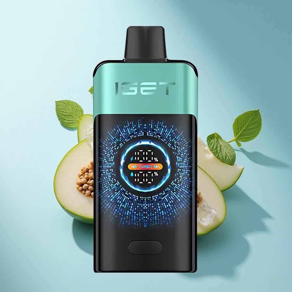 IGET ONE 12000 Puffs Disposable Vape with 2700mAh Battery & 0.6ohm Coil - Mountain Spring Mint Ice