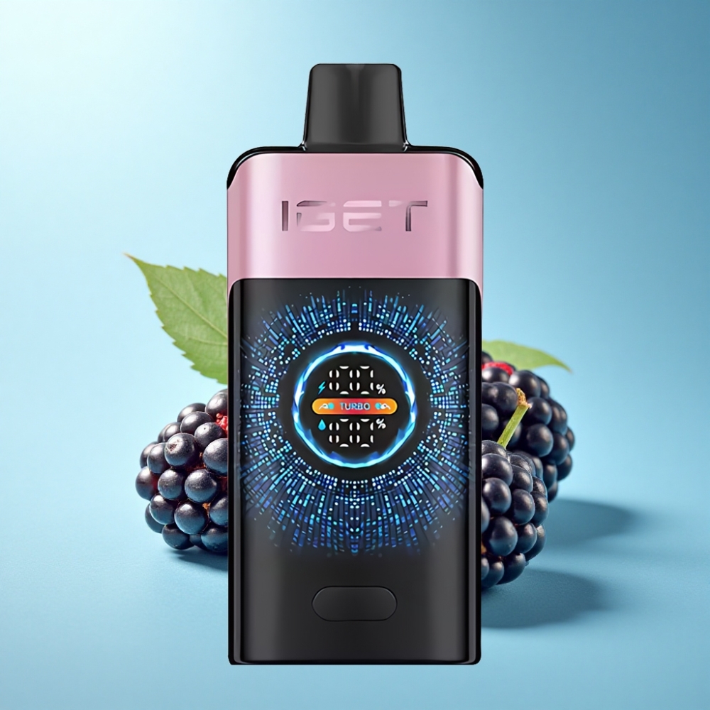 IGET ONE 12000 Puffs Disposable Vape with Large Curved Screen & 2700mAh - Blackberry Ice