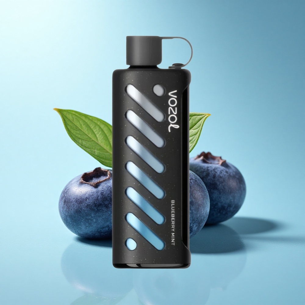 VOZOL Gear Shisha 25000 Puffs Blueberry Mint Dual Mesh 5mg