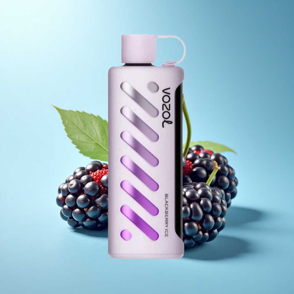 VOZOL Gear Shisha 25000 Puffs Disposable Vape Blackberry Ice Dual Mesh 1000mAh
