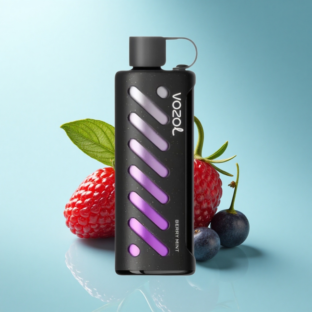 VOZOL Gear Shisha 25000 Puffs Dual Mesh Berry Mint Disposable Vape