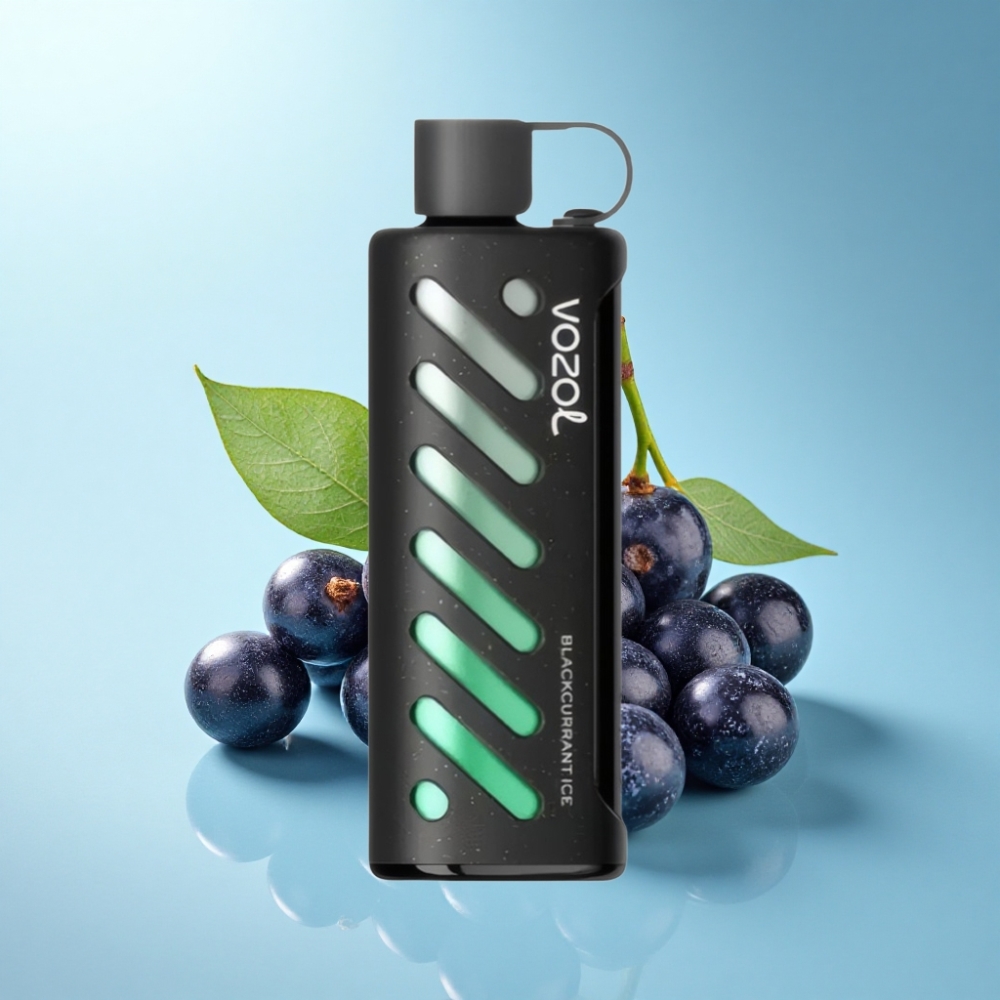 VOZOL Gear Shisha 25000 Puffs Dual Mesh Blackcurrant Ice Disposable Vape