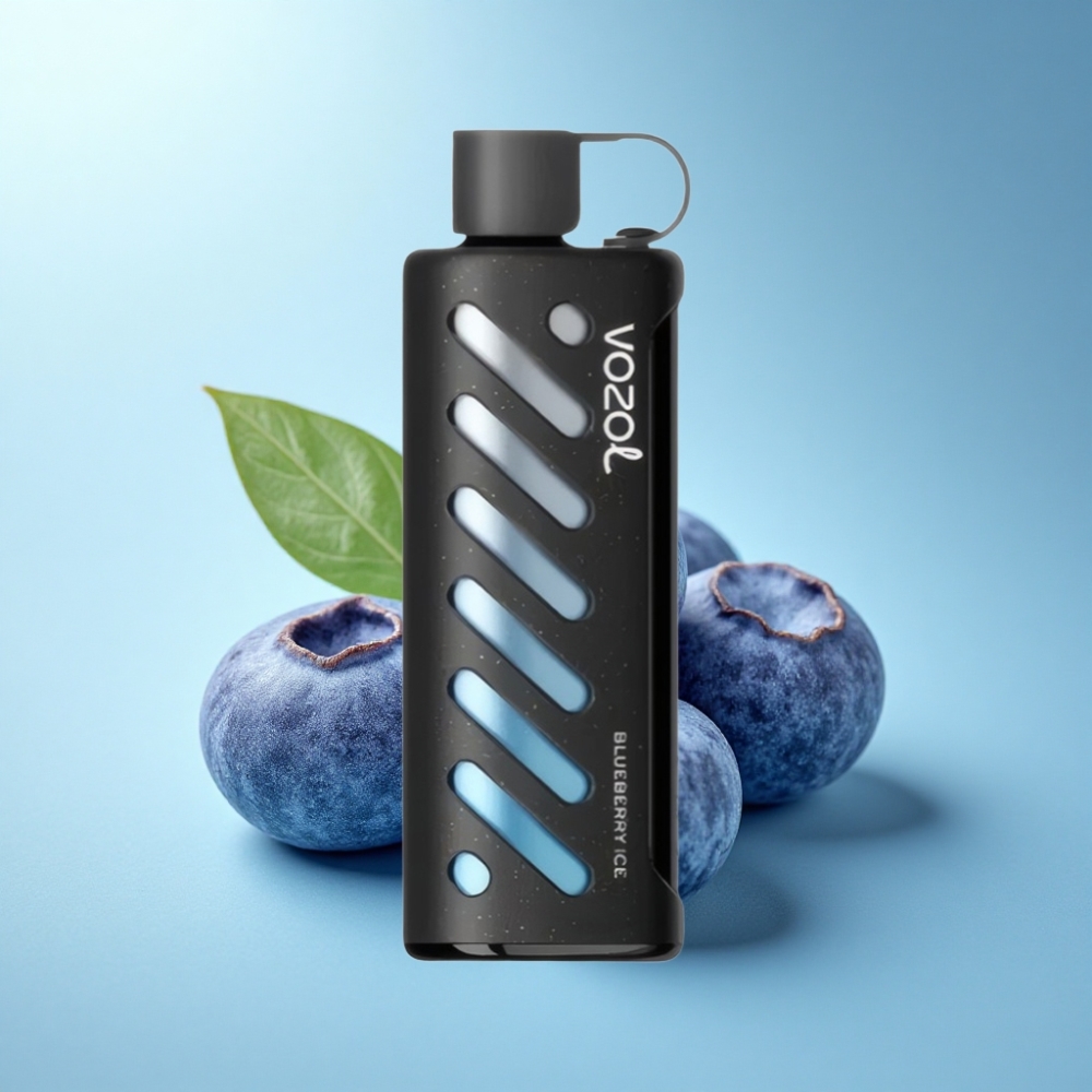 VOZOL Gear Shisha 25000 Puffs Dual Mesh Blueberry Ice Disposable Vape