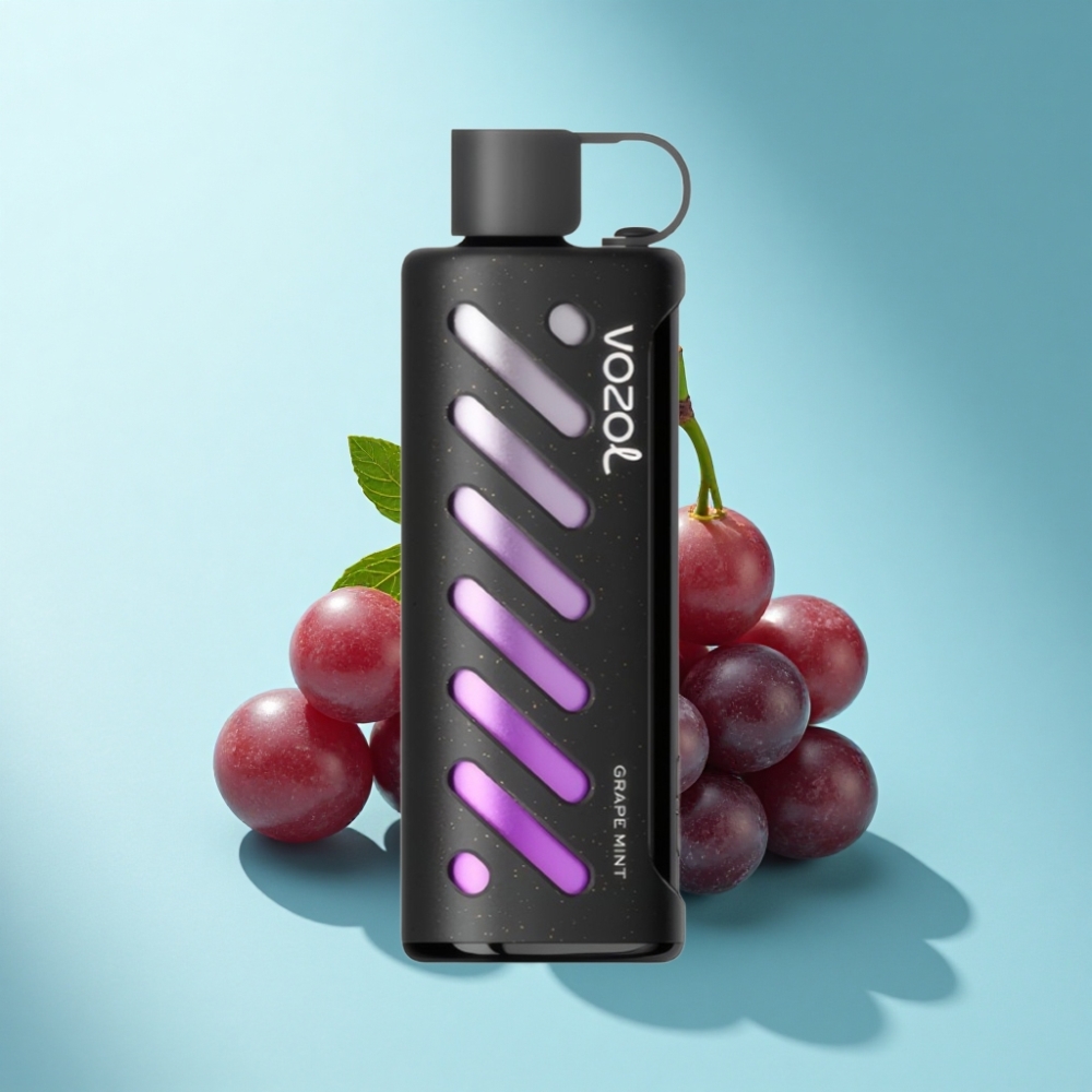 VOZOL Gear Shisha 25000 Puffs Dual Mesh Grape Mint Disposable Vape