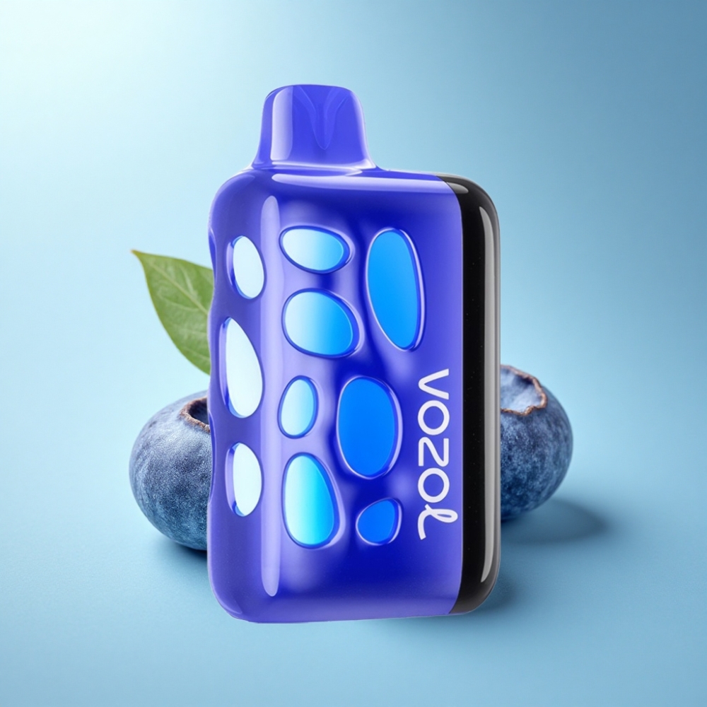 VOZOL RAVE 40000 Disposable Vape Blueberry Ice – Glow Design, Beat-Synced, Fast Charge