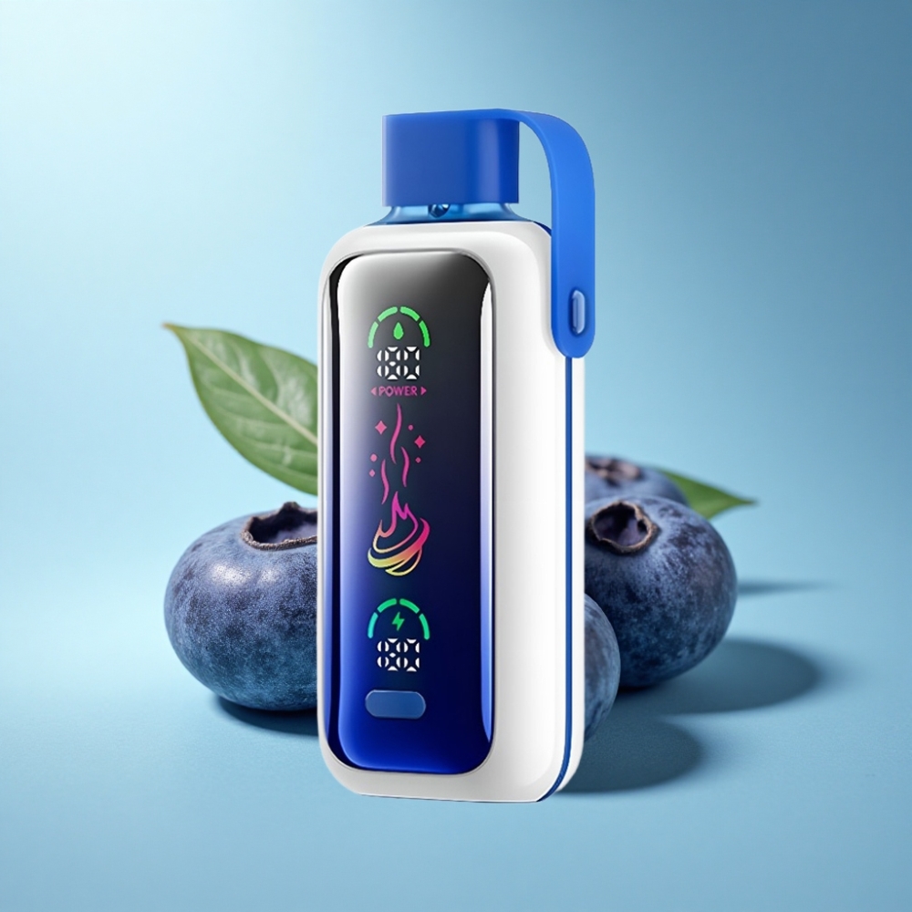VOZOL Star 20000 Puffs Disposable Vape Blueberry Storm 650mAh Dual Mesh