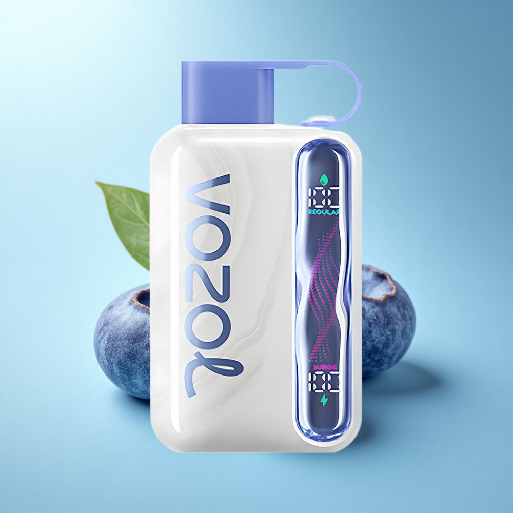 VOZOL STAR 40000 Puffs Disposable Vape Blueberry Ice 1000mAh Type-C