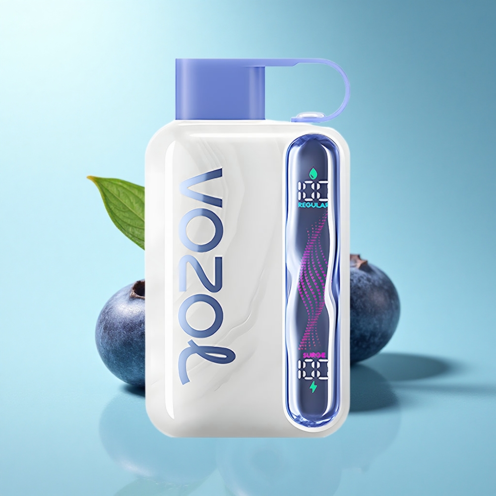 VOZOL STAR 40000 Puffs Disposable Vape Blueberry Mint 1000mAh Type-C