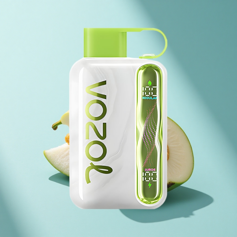 VOZOL STAR 40000 Puffs Disposable Vape Cool Mint 1000mAh Type-C