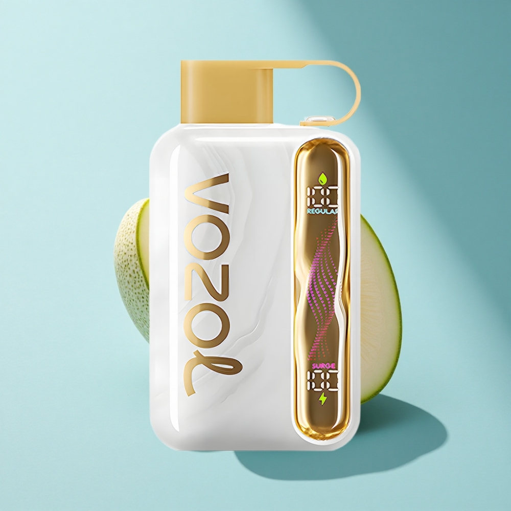 VOZOL STAR 40000 Puffs Disposable Vape Melon Gum 1000mAh Type-C