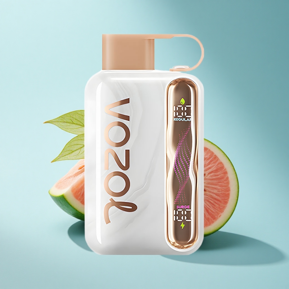 VOZOL STAR 40000 Puffs Strawmelon Peach Disposable Vape 1000mAh Type-C