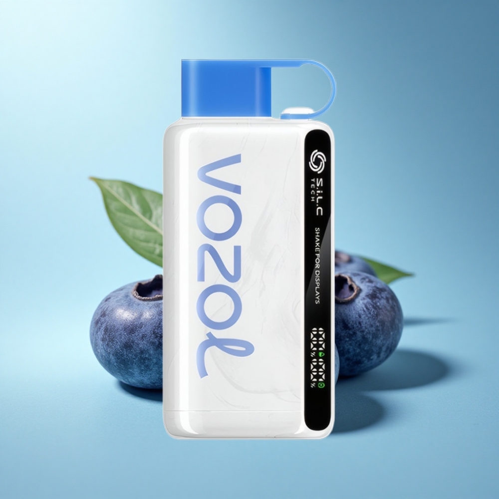 VOZOL STAR 9000/12000 Disposable Vape Blueberry Storm with S.i.L.C TECH & Recycled Plastic