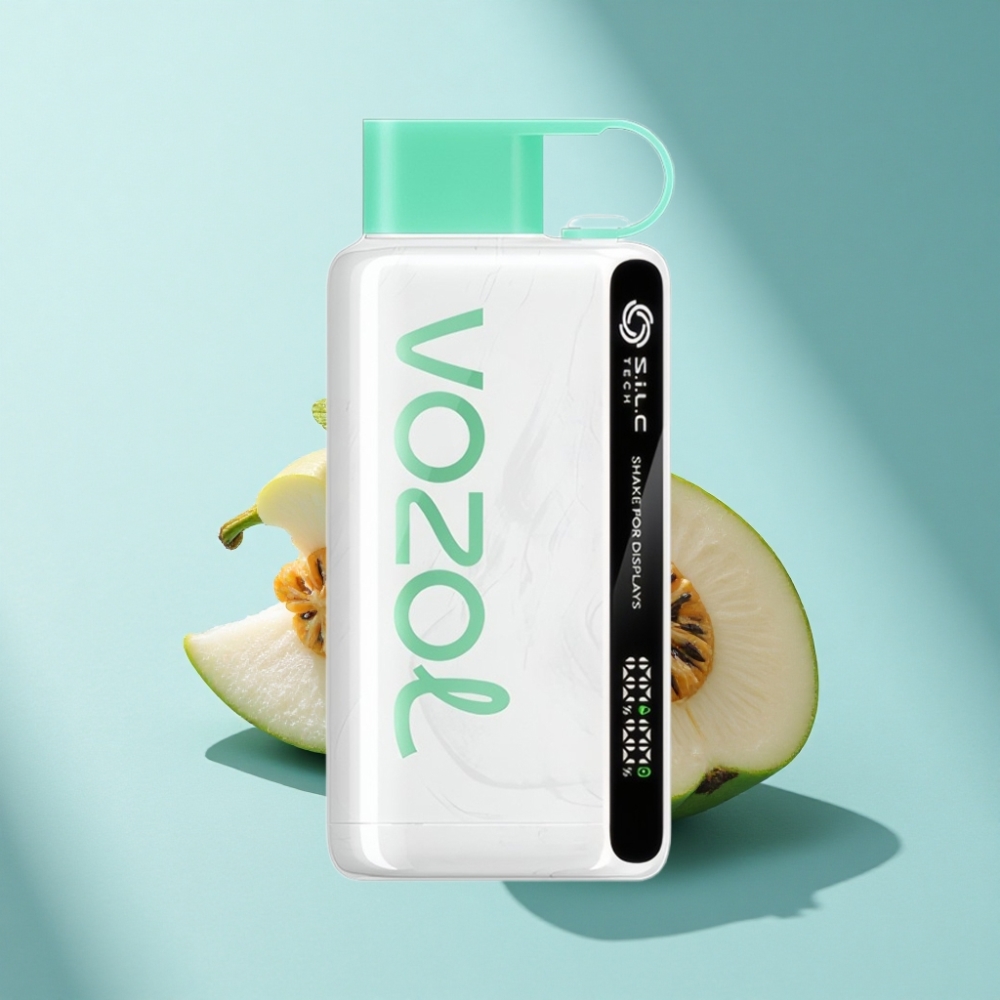 VOZOL STAR 9000/12000 Disposable Vape Cool Mint with S.i.L.C TECH & Fast Charge