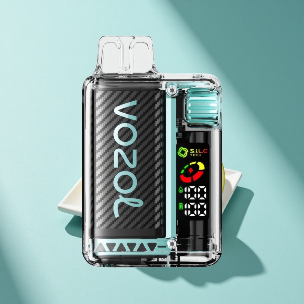 VOZOL Vista 20000 Puffs Rechargeable Disposable Vape Miami Mint 650mAh MTL OLED S.i.L.C Tech
